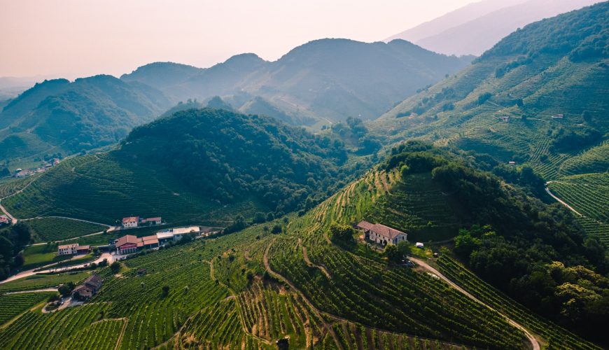 Prosecco & Conegliano-Valdobbiadene