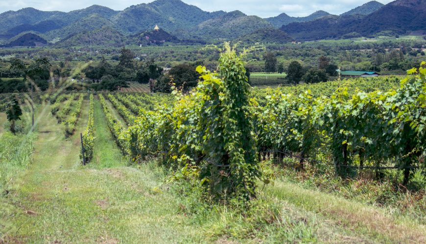 Monti Sibillini e Valli del Tenna