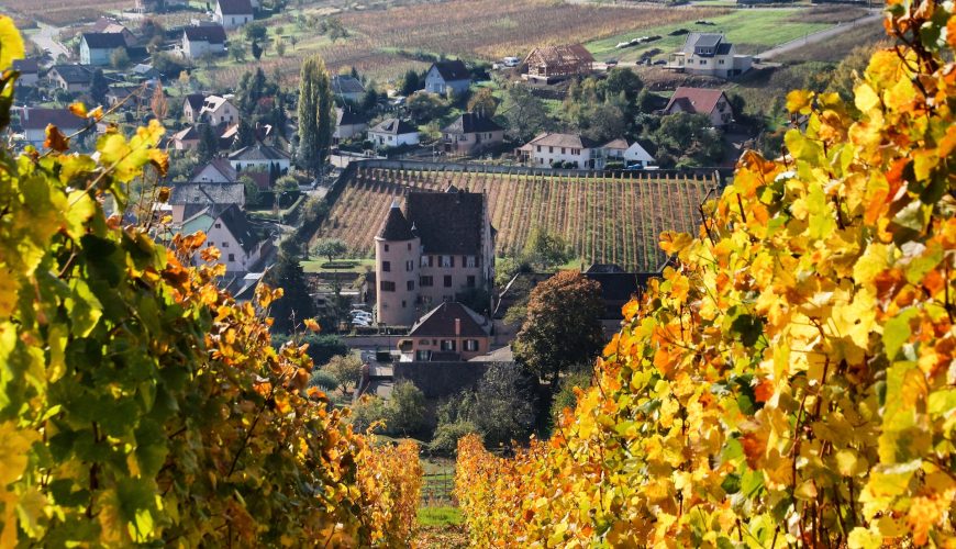 Franciacorta