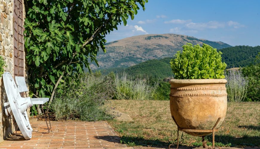 Colline Pesaresi