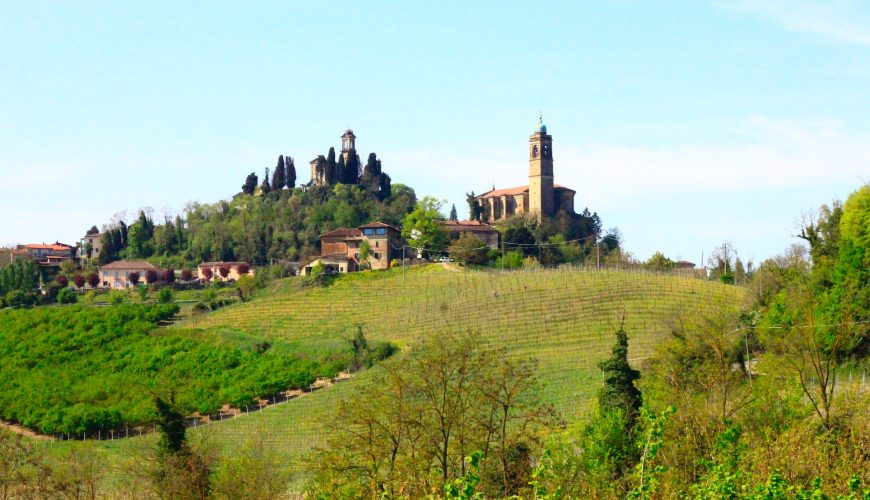 Le visite in vigna non sono mai state cosi divertenti. Scegli tra tantissimi tour, prenota e divertiti.