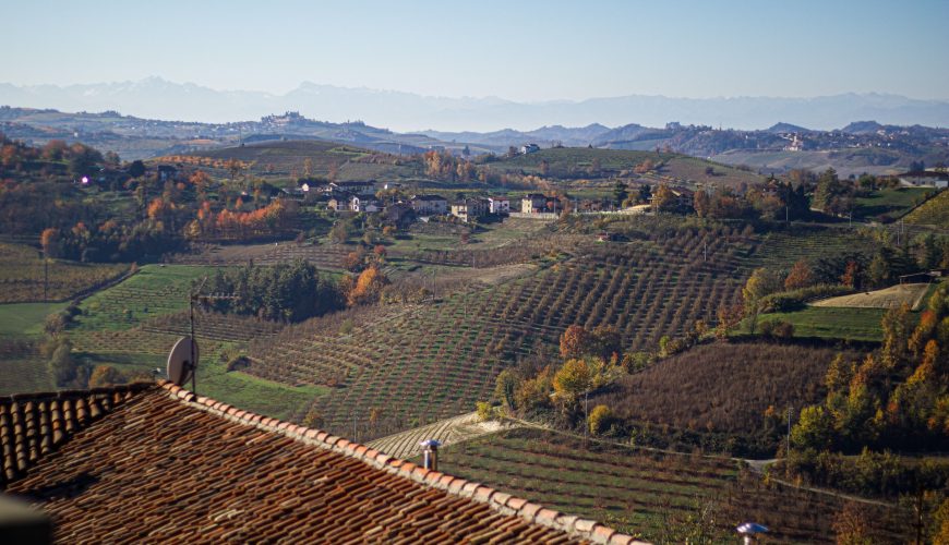 Le visite in vigna non sono mai state cosi divertenti. Scegli tra tantissimi tour, prenota e divertiti.