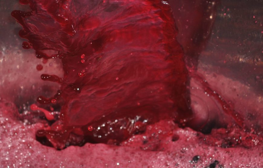 Luteraia Sensorial Wine Tasting a Montepulciano