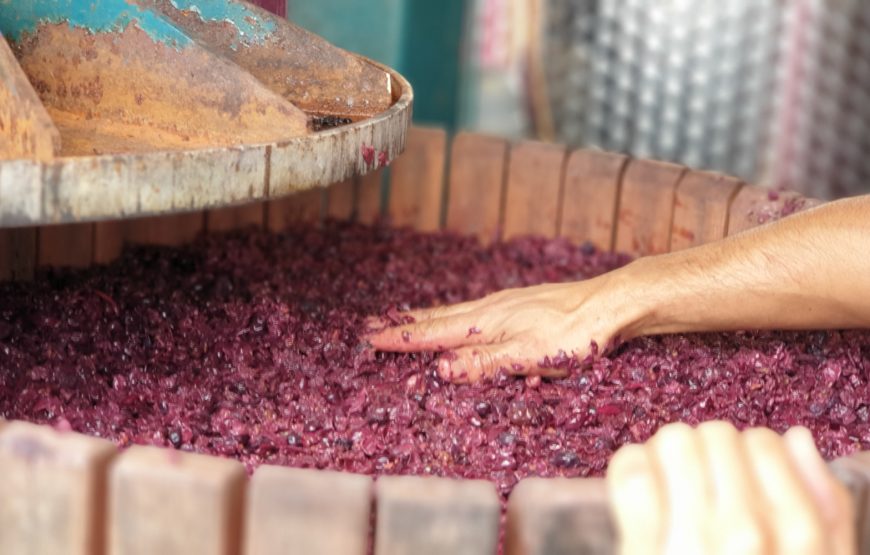 Luteraia Sensorial Wine Tasting a Montepulciano