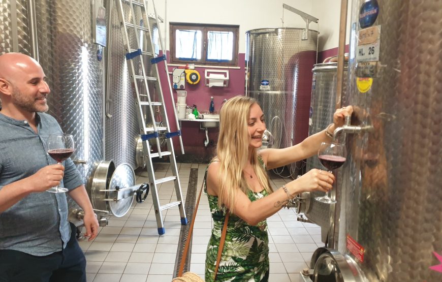 Luteraia Exclusive Wine Experience a Montepulciano