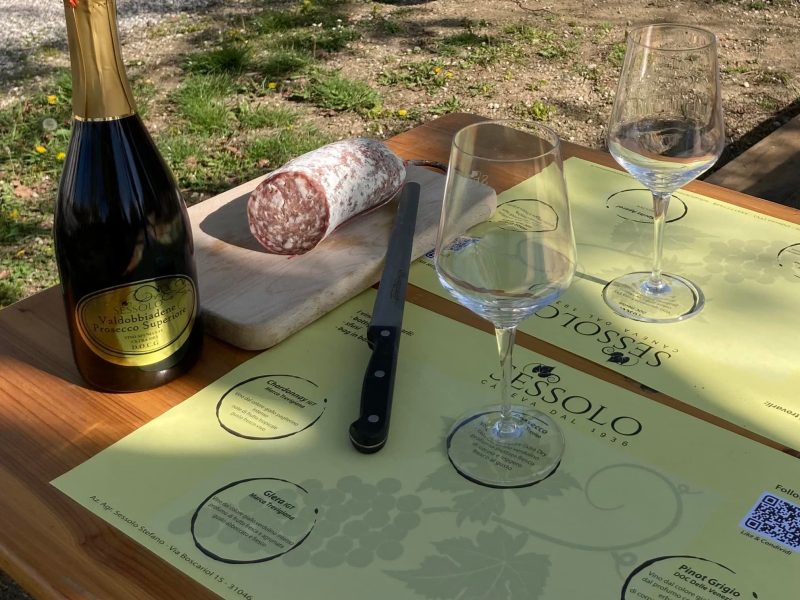 Le visite in vigna non sono mai state cosi divertenti. Scegli tra tantissimi tour, prenota e divertiti.