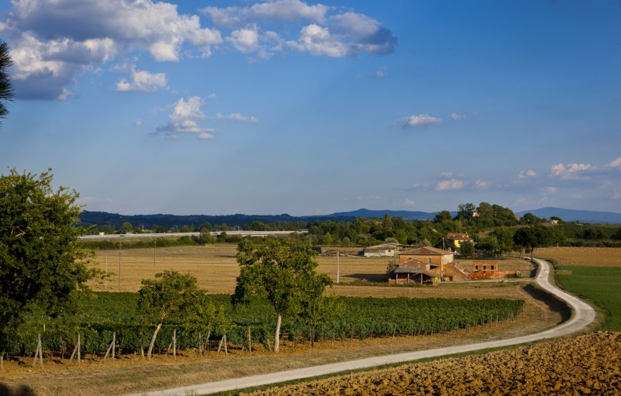 Luteraia Sensorial Wine Tasting a Montepulciano