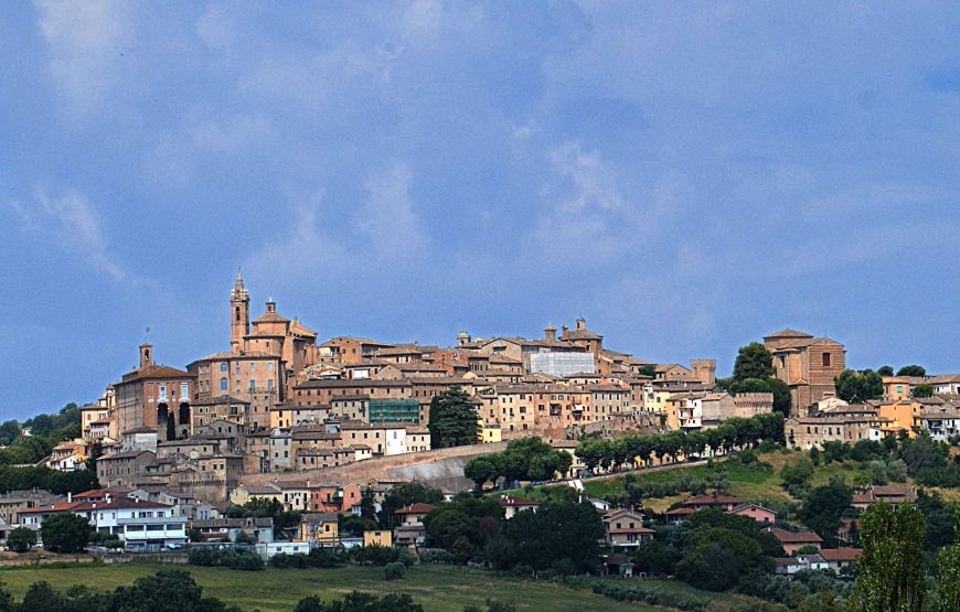 Degustazione del Verdicchio dei castelli di Jesi a Podere Mattei