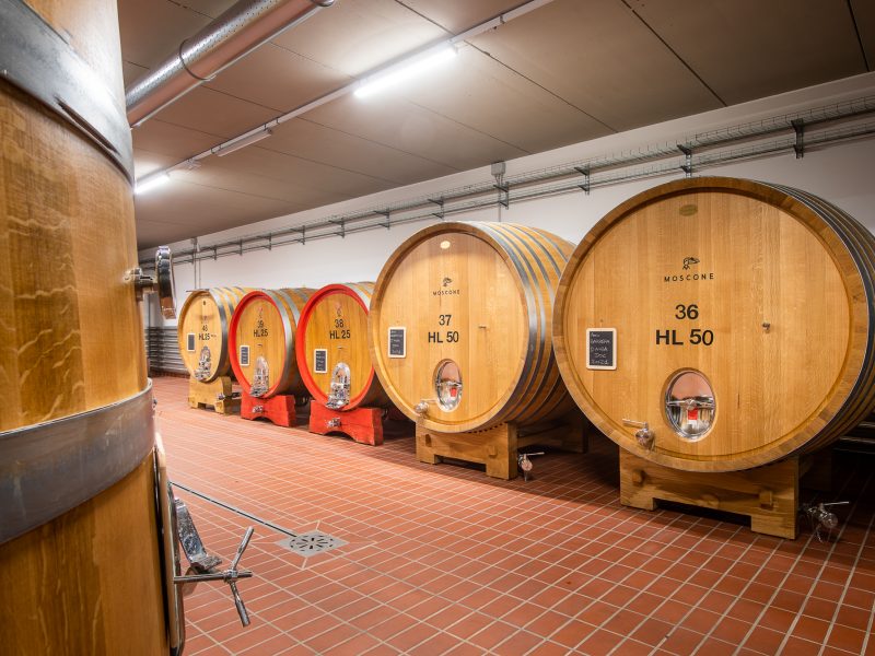 Le visite in vigna non sono mai state cosi divertenti. Scegli tra tantissimi tour, prenota e divertiti.