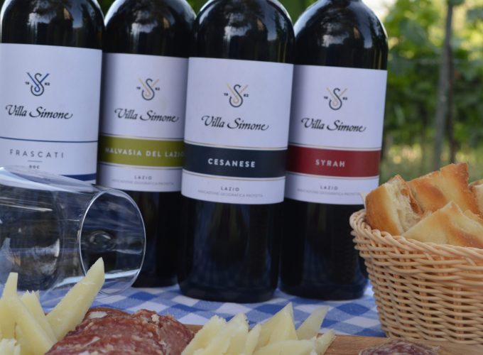 Le visite in vigna non sono mai state cosi divertenti. Scegli tra tantissimi tour, prenota e divertiti.