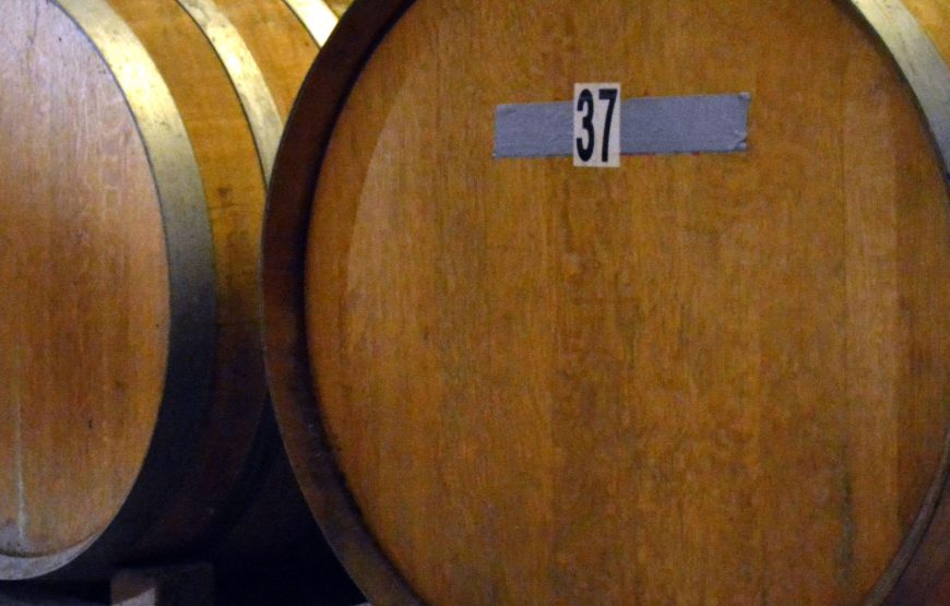Degustazione del Verdicchio dei castelli di Jesi a Podere Mattei
