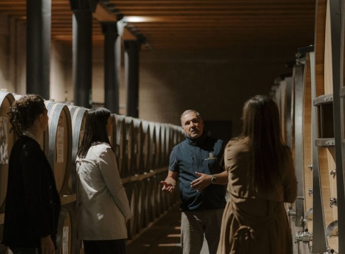 Le visite in vigna non sono mai state cosi divertenti. Scegli tra tantissimi tour, prenota e divertiti.