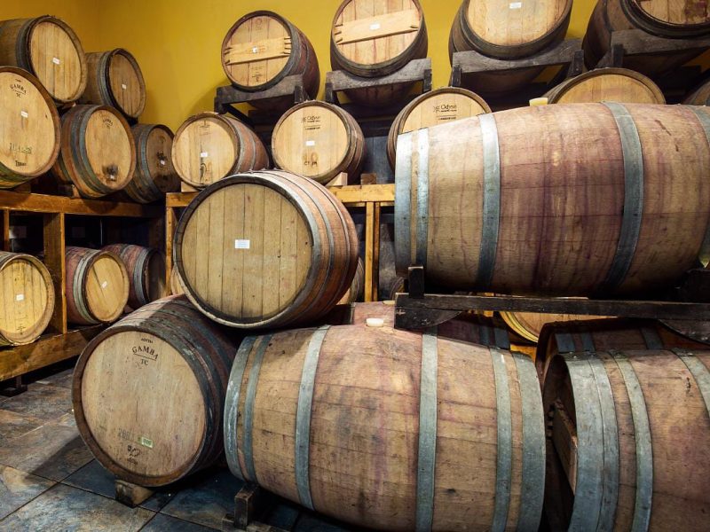 Le visite in vigna non sono mai state cosi divertenti. Scegli tra tantissimi tour, prenota e divertiti.