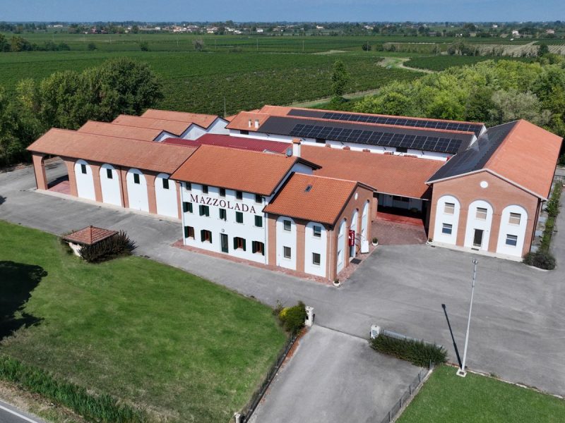 Le visite in vigna non sono mai state cosi divertenti. Scegli tra tantissimi tour, prenota e divertiti.