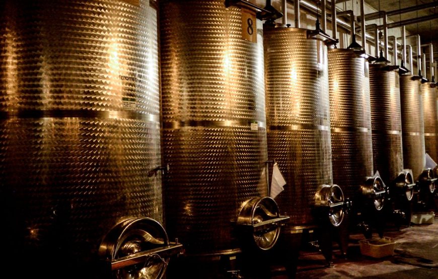 Degustazione del Verdicchio dei castelli di Jesi a Podere Mattei