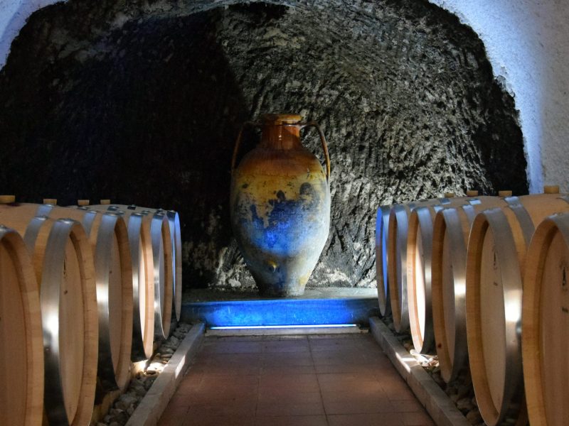 Le visite in vigna non sono mai state cosi divertenti. Scegli tra tantissimi tour, prenota e divertiti.