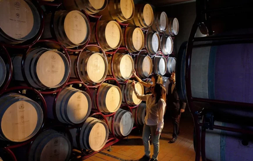 Visita con degustazione “VERTICALE DI ALDONE”