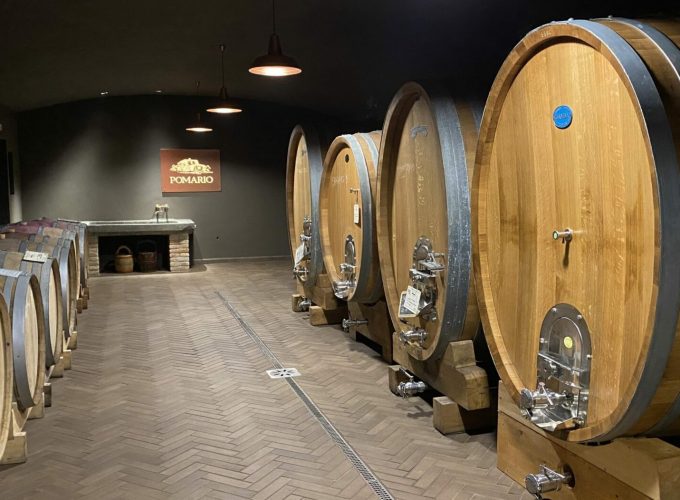 Le visite in vigna non sono mai state cosi divertenti. Scegli tra tantissimi tour, prenota e divertiti.