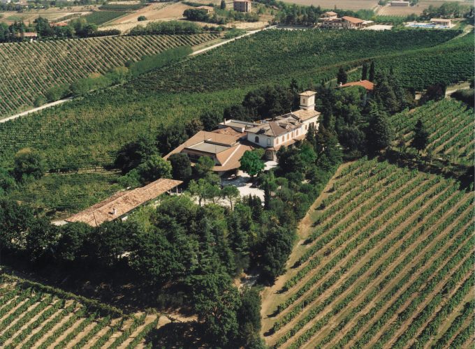 Le visite in vigna non sono mai state cosi divertenti. Scegli tra tantissimi tour, prenota e divertiti.