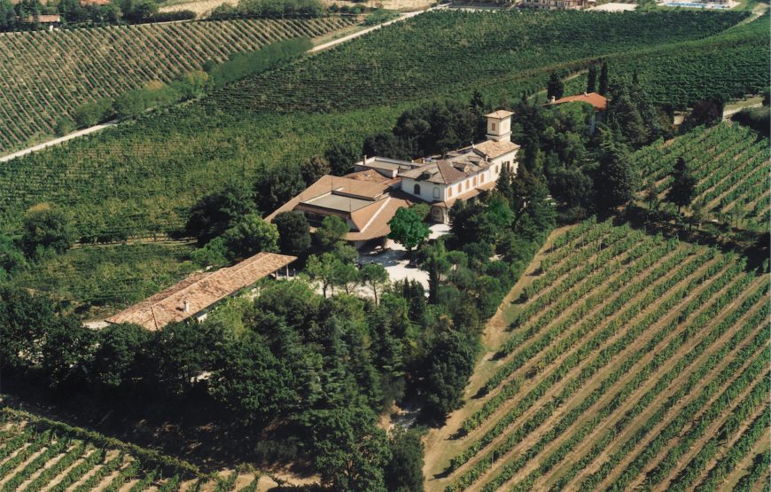 Fattoria Paradiso Wine Tasting e Visita al Museo del Vino a Bertinoro