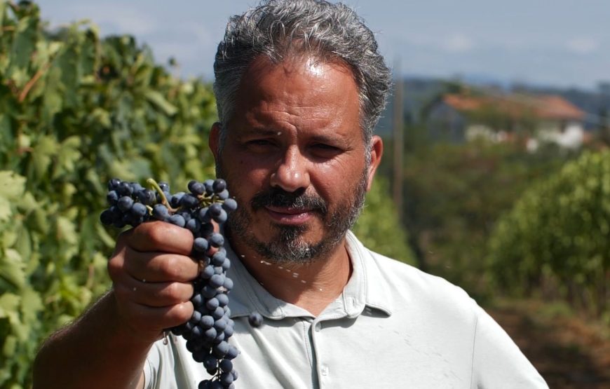 Luteraia Sensorial Wine Tasting a Montepulciano