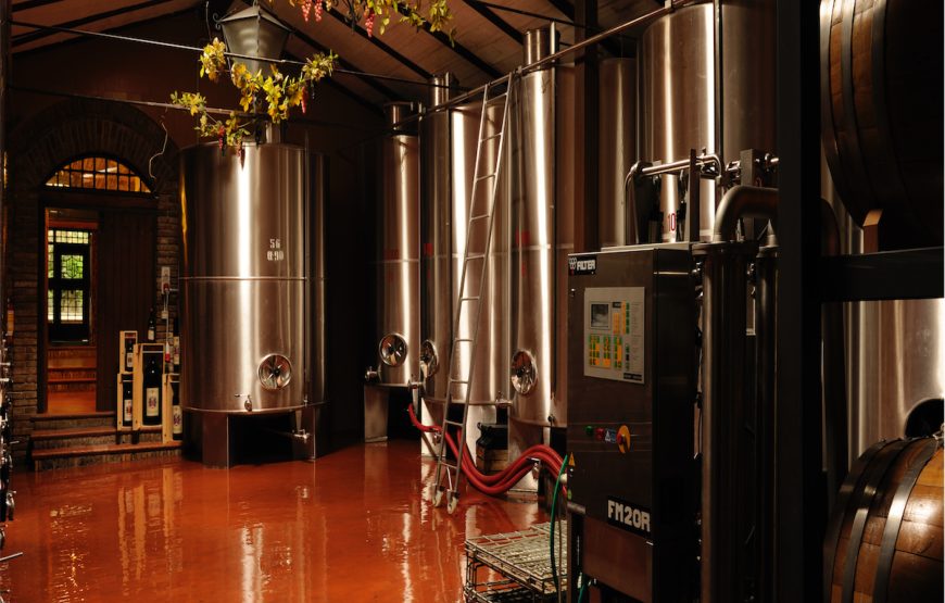 Fattoria Paradiso Wine Tasting e Visita al Museo del Vino a Bertinoro