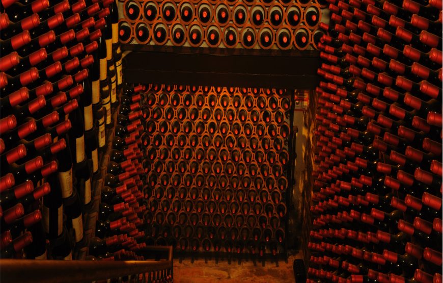 Fattoria Paradiso Wine Tasting e Visita al Museo del Vino a Bertinoro