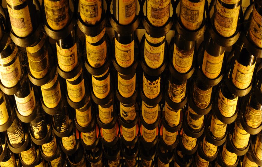 Fattoria Paradiso Wine Tasting e Visita al Museo del Vino a Bertinoro