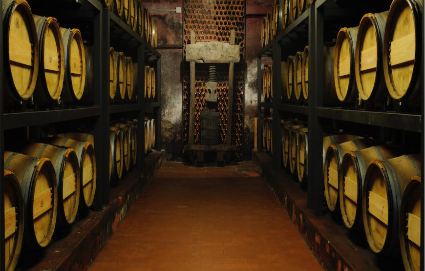Fattoria Paradiso Wine Tasting e Visita al Museo del Vino a Bertinoro