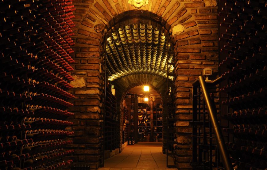 Fattoria Paradiso Wine Tasting e Visita al Museo del Vino a Bertinoro