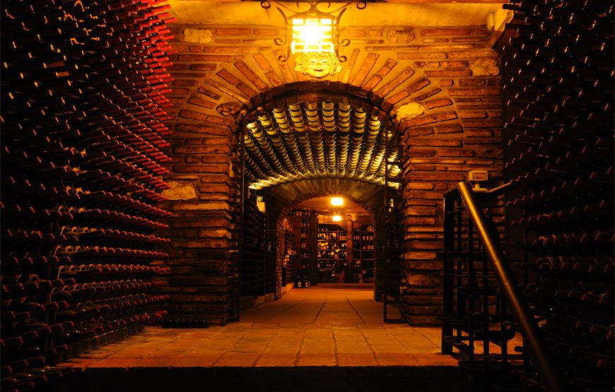 Fattoria Paradiso Wine Tasting e Visita al Museo del Vino a Bertinoro