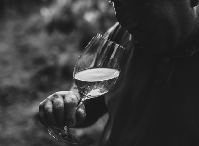 Le visite in vigna non sono mai state cosi divertenti. Scegli tra tantissimi tour, prenota e divertiti.