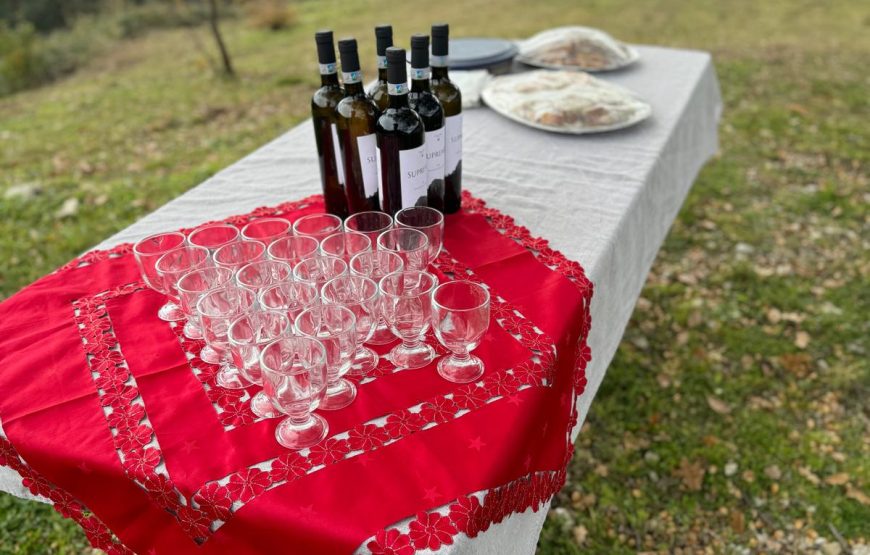 Il cammino delle suore, alla scoperta dei vigneti “eroici” di Cantina Villa Colle
