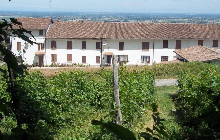 La Travaglina, Degustazione sua maestà il Pinot Nero nell’Oltrepò Pavese