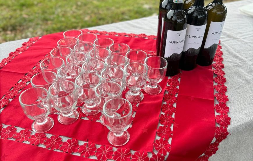 Il cammino delle suore, alla scoperta dei vigneti “eroici” di Cantina Villa Colle
