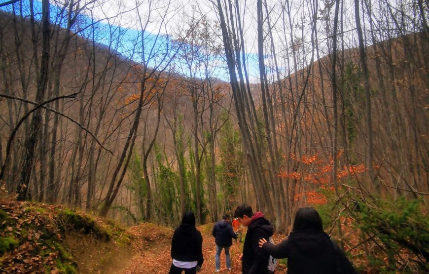 Il cammino delle suore, alla scoperta dei vigneti “eroici” di Cantina Villa Colle