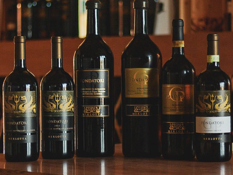 Le visite in vigna non sono mai state cosi divertenti. Scegli tra tantissimi tour, prenota e divertiti.