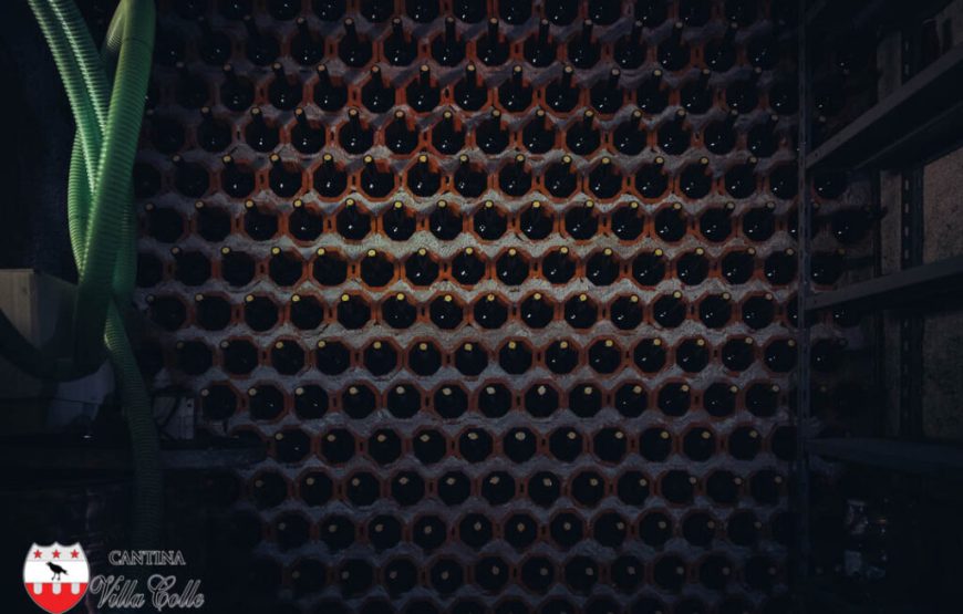 Il cammino delle suore, alla scoperta dei vigneti “eroici” di Cantina Villa Colle