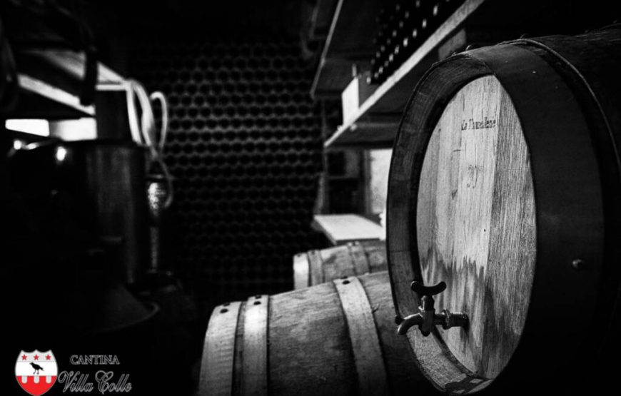Il cammino delle suore, alla scoperta dei vigneti “eroici” di Cantina Villa Colle