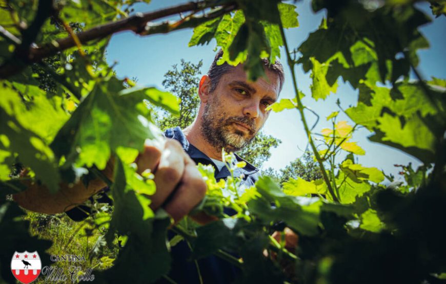 Il cammino delle suore, alla scoperta dei vigneti “eroici” di Cantina Villa Colle