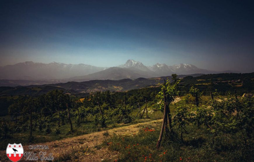 Il cammino delle suore, alla scoperta dei vigneti “eroici” di Cantina Villa Colle