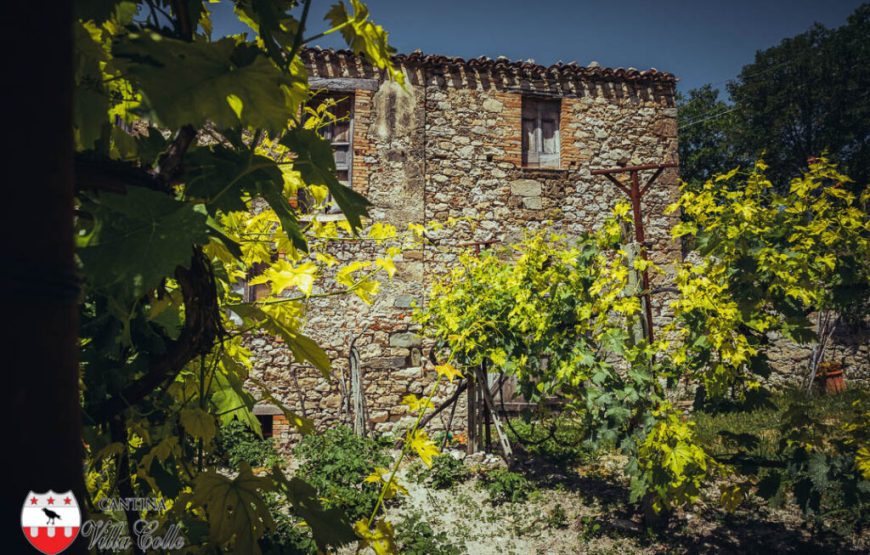 Il cammino delle suore, alla scoperta dei vigneti “eroici” di Cantina Villa Colle