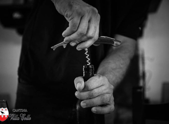 Le visite in vigna non sono mai state cosi divertenti. Scegli tra tantissimi tour, prenota e divertiti.