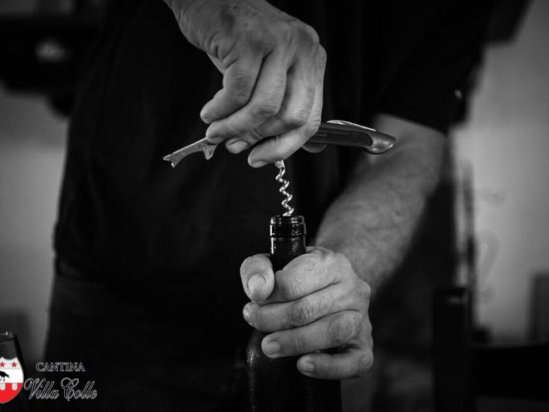 Le visite in vigna non sono mai state cosi divertenti. Scegli tra tantissimi tour, prenota e divertiti.