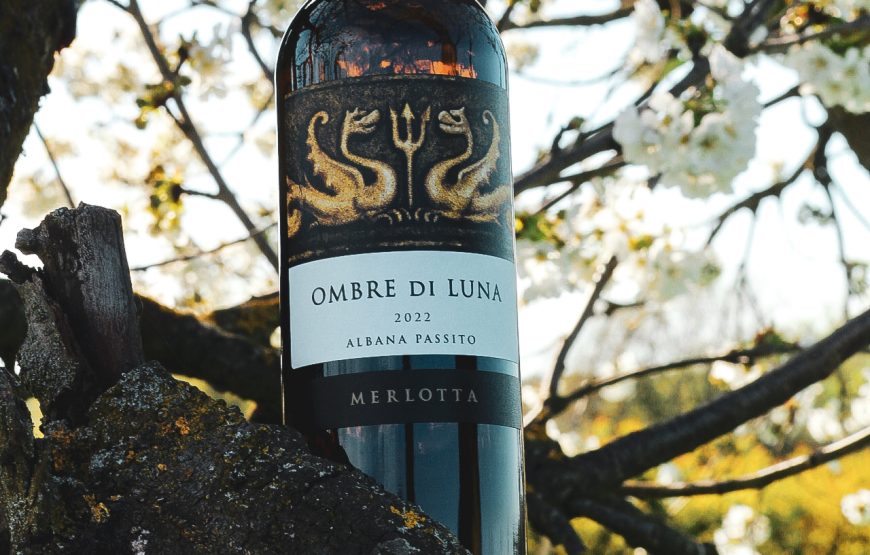 Wine Tour e Degustazione Selezioni Autoctone