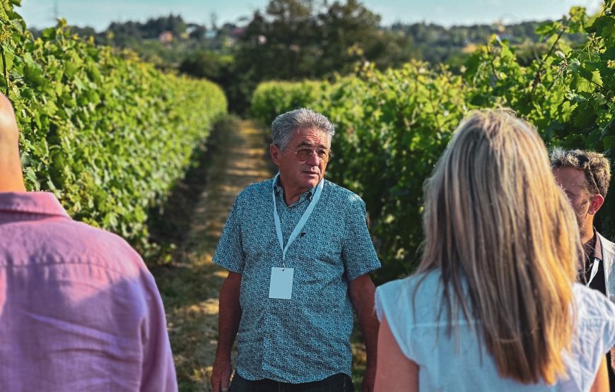 Wine Tour e Degustazione Selezioni Autoctone