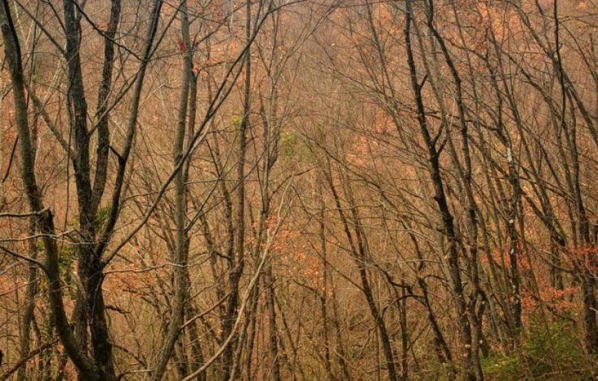 Il cammino delle suore, alla scoperta dei vigneti “eroici” di Cantina Villa Colle