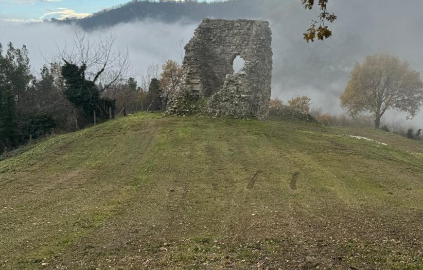 Il cammino delle suore, alla scoperta dei vigneti “eroici” di Cantina Villa Colle