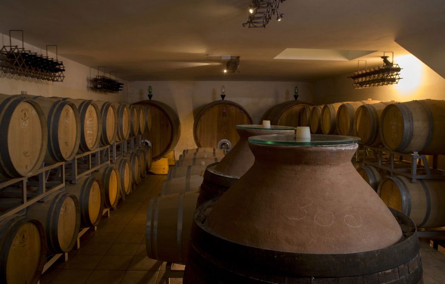 Il vino che ama la terra.