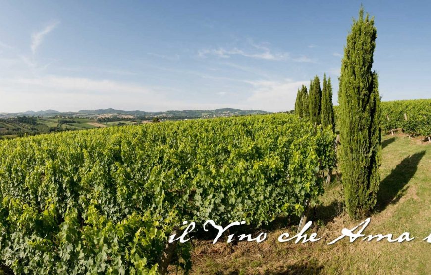 Il vino che ama la terra.